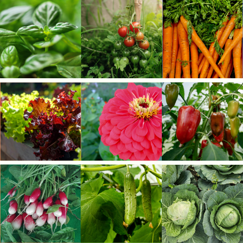 The Complete Growing Bundle: Blooma's Complete Guide to Growing