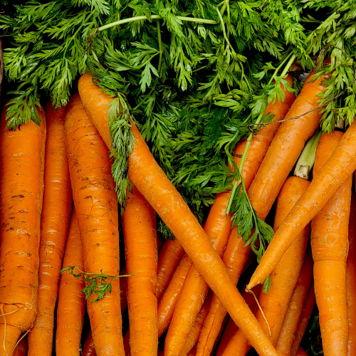 Carrots: Blooma's Complete Guide to Growing