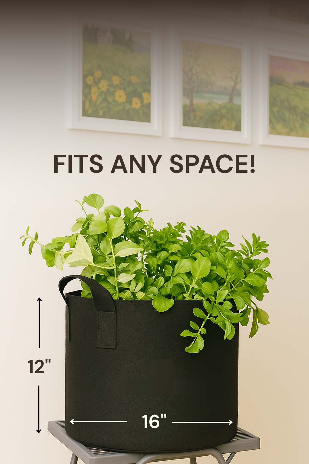 Blooma Grow Boxes