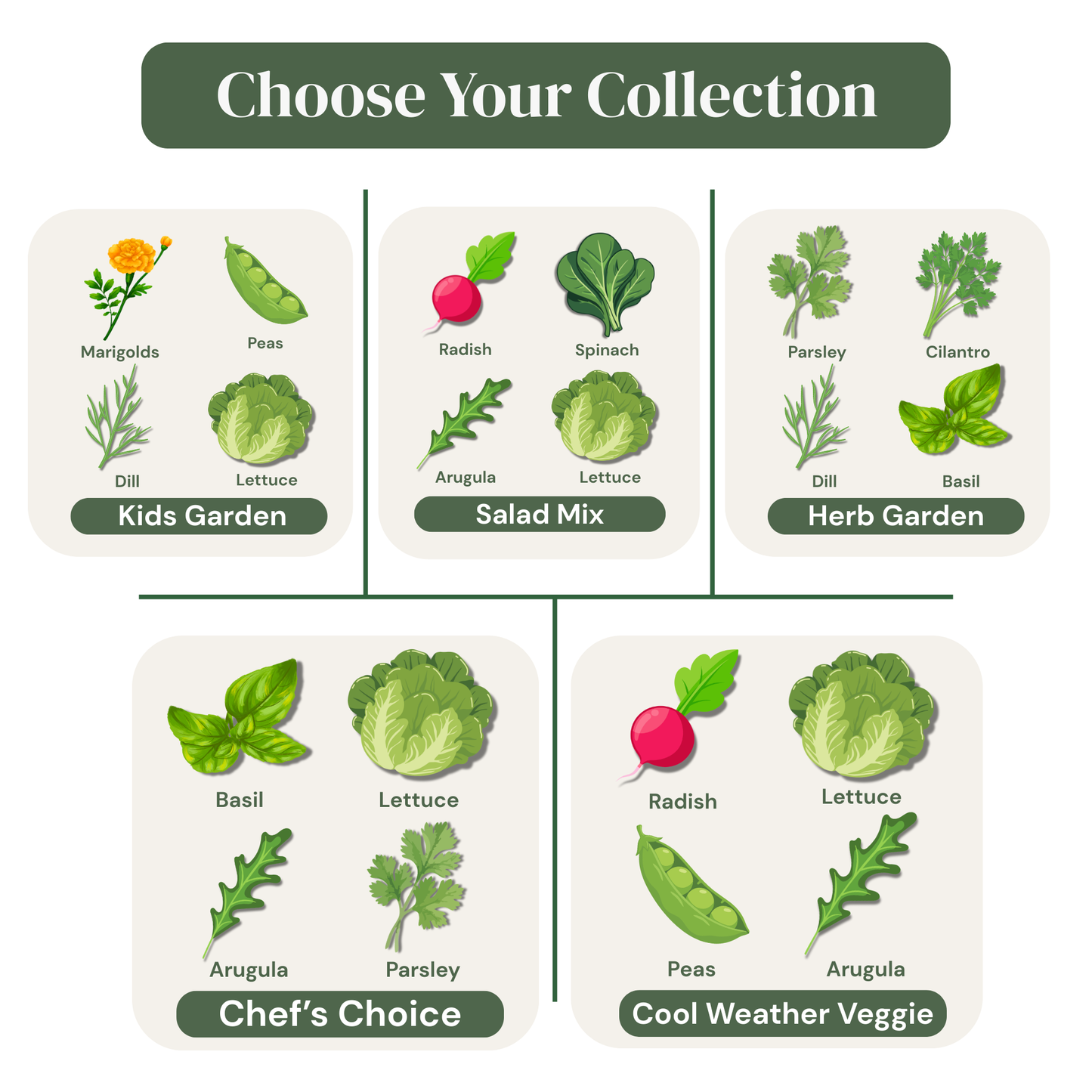Blooma Grow Boxes