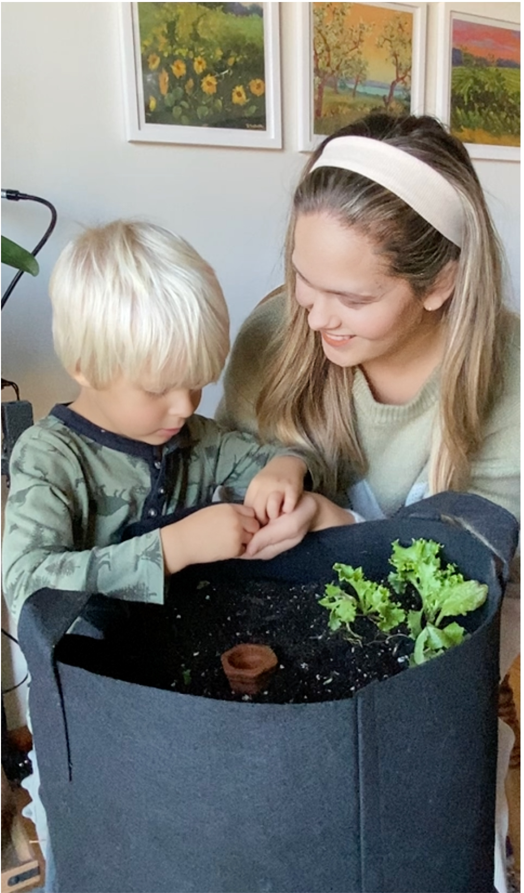 Blooma Grow Boxes