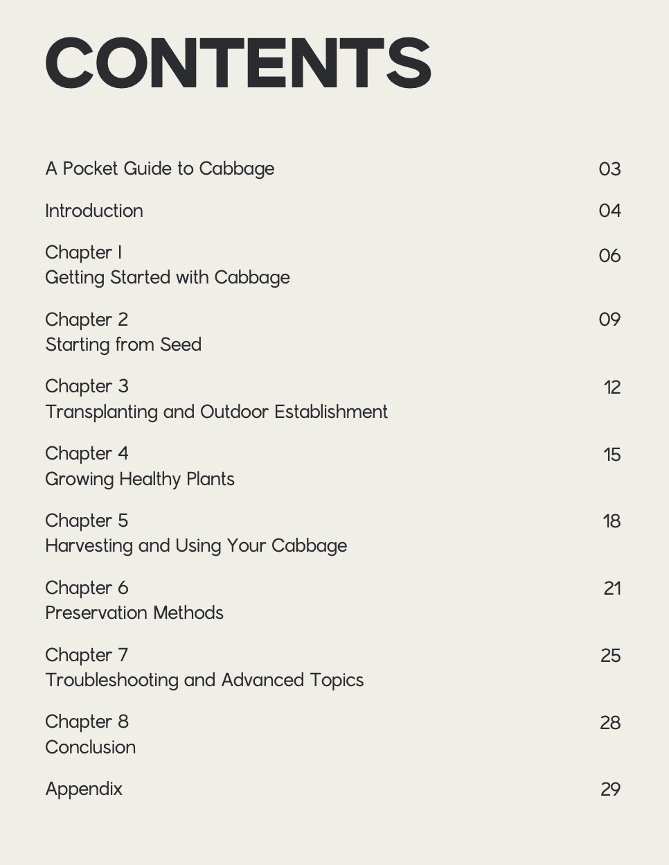 Cabbage: Blooma's Complete Guide to Growing